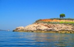 мамула