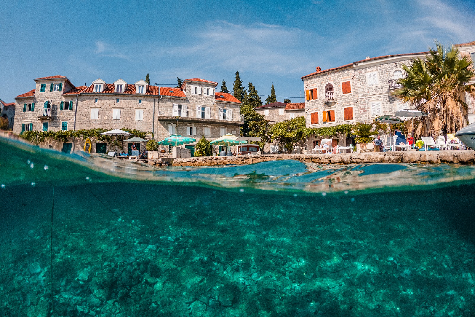 Lustica Rose foto Vuk Ilic